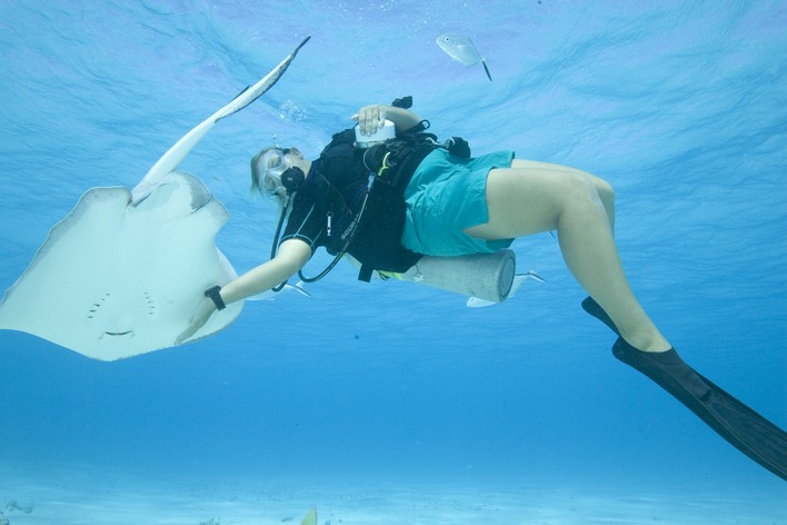 Plaisir en plongée sous-marine PADI