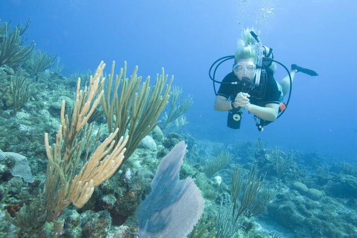 Plaisir en plongée sous-marine PADI