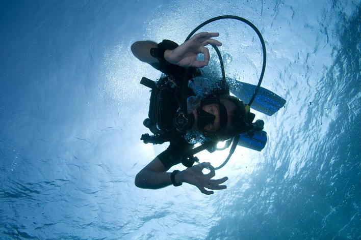 Plaisir en plongée sous-marine PADI