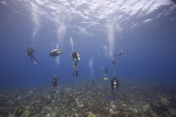 Plaisir en plongée sous-marine PADI